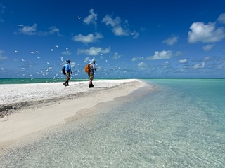 St-Brandons-Atoll