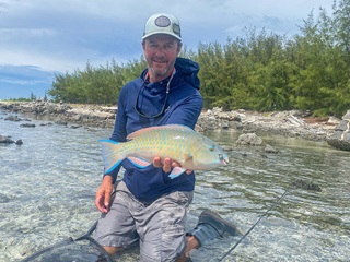 Parrotfish-Currier