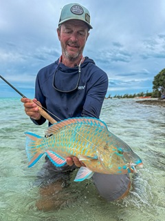 parrotfish-Jeff-Currier