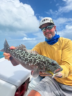 African-Marbled-grouper-Currier