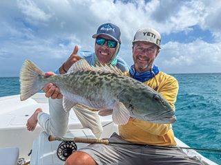 Currier-African-Marbled-Grouper