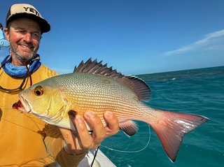 bohar-snapper
