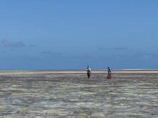St-Brandons-Bonefish
