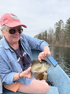 bluegill